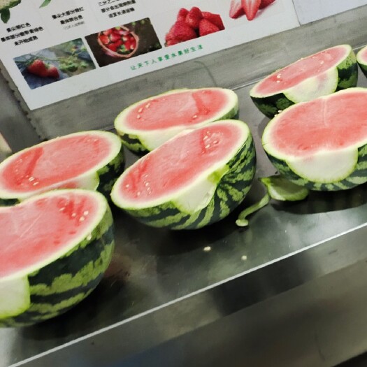 西安8424西瓜 浙江8424冰糖麒麟瓜