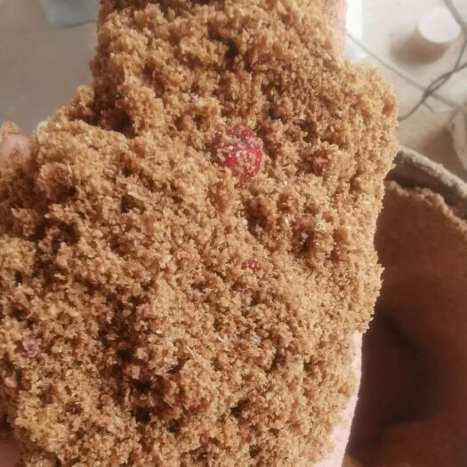 正定县禽畜用饲料 生物发酵饲料