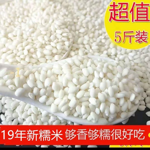 怀远县 新圆粒糯米粽子米酒米安徽糯米