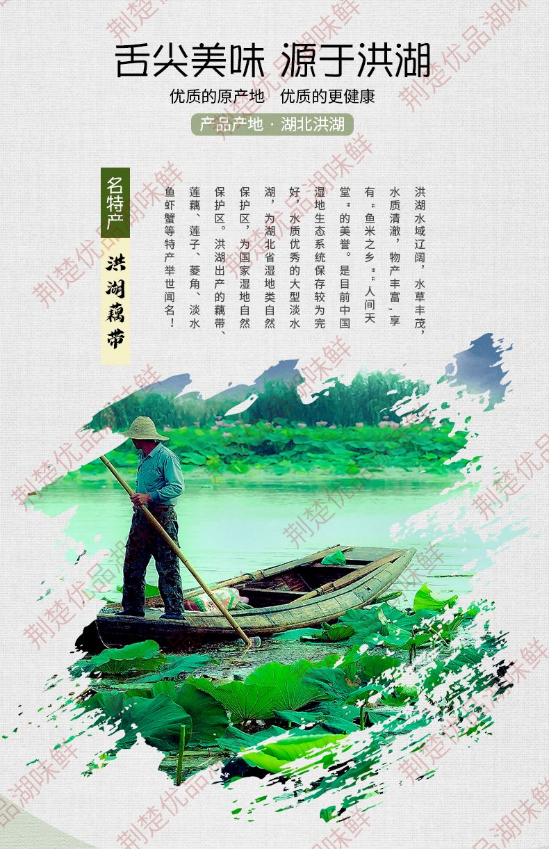 酸辣泡藕带 荆楚优品，湖味鲜，泡藕带