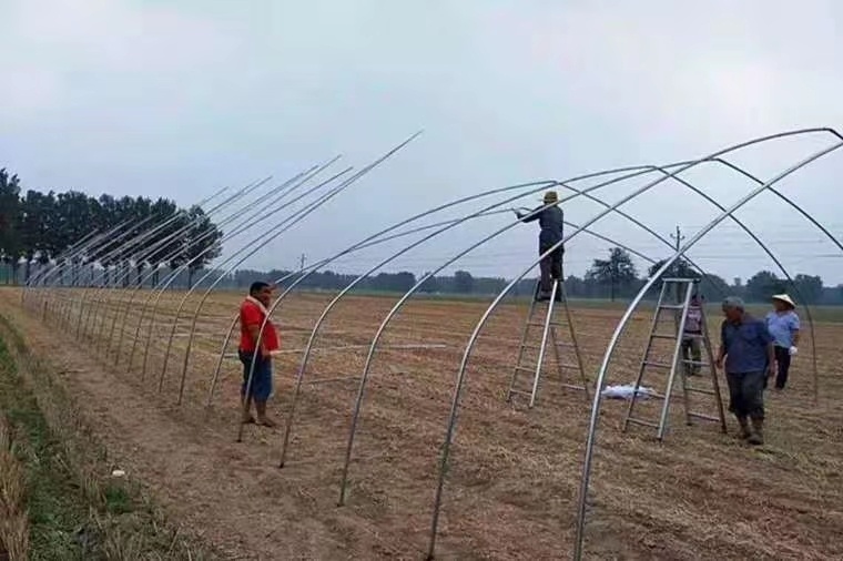 东光县蔬菜大棚 各种大棚及大棚配件