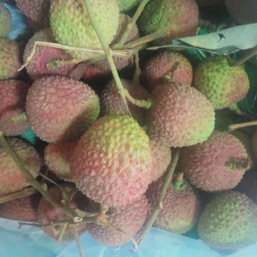 天津 妃子笑小壶荔枝只卖6元