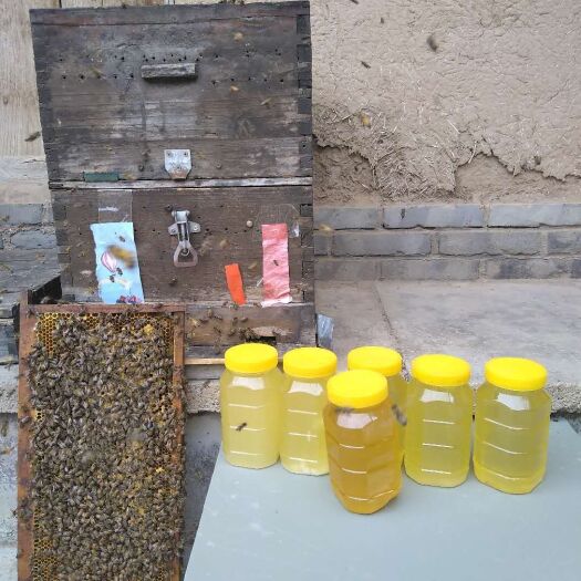西安 自家留吃的土蜂蜜，仅有一百来斤