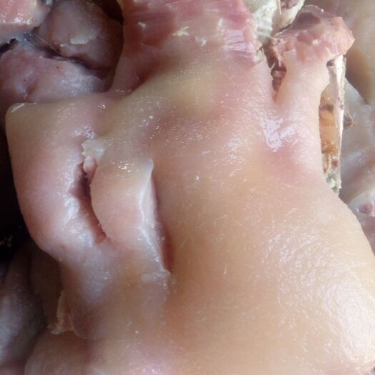 阳信县牛副产品  牛杂牛头肉