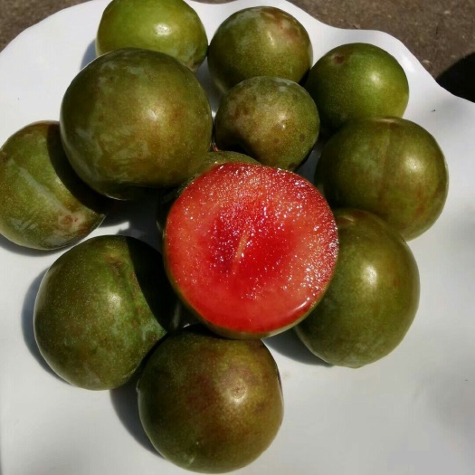 随县红心李 味帝李，澳洲红肉李，先锋李，紫琥珀李，风味玫瑰李，红霸，美一