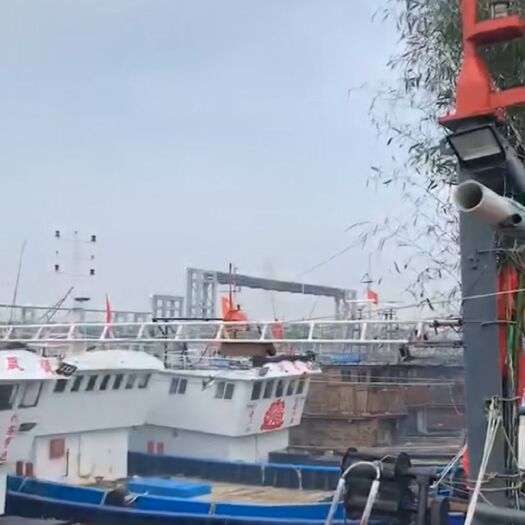 连云港八月鲜活海里梭子蟹，皮皮虾！批发，一件代发