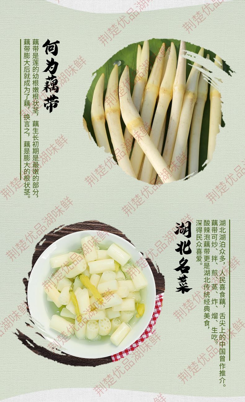 酸辣泡藕带 荆楚优品，湖味鲜，泡藕带