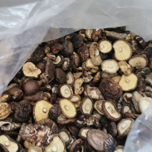 商南县 香菇