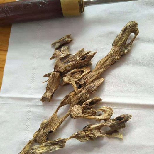 阳西县 奇楠沉香