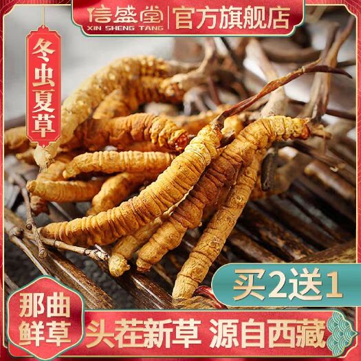 安多县 158元10根冬虫夏草西藏那曲正宗虫草新鲜干货5克礼盒装2根