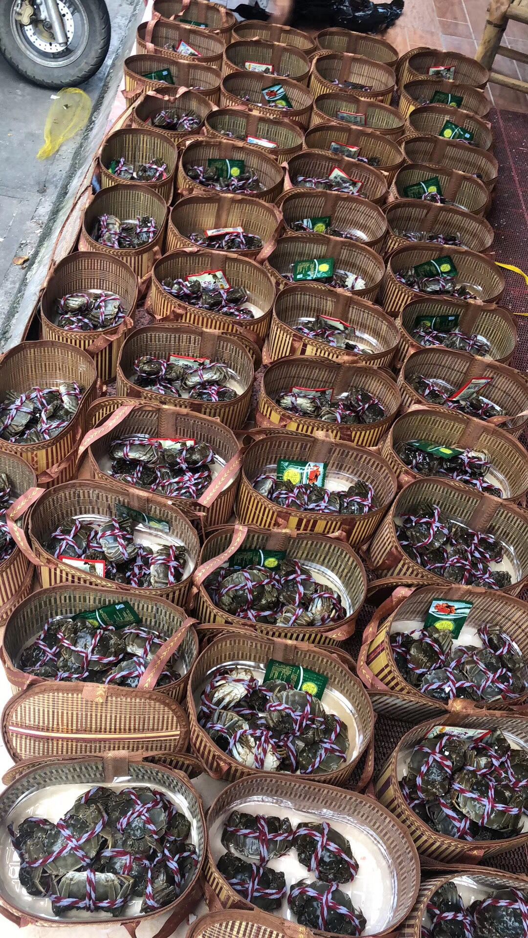 固城湖大闸蟹  固城湖文子大闸蟹长毛蟹