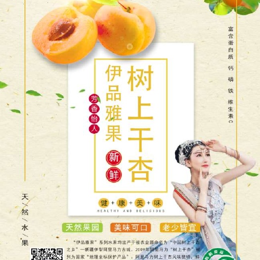 霍城县 新疆伊犁树上干杏