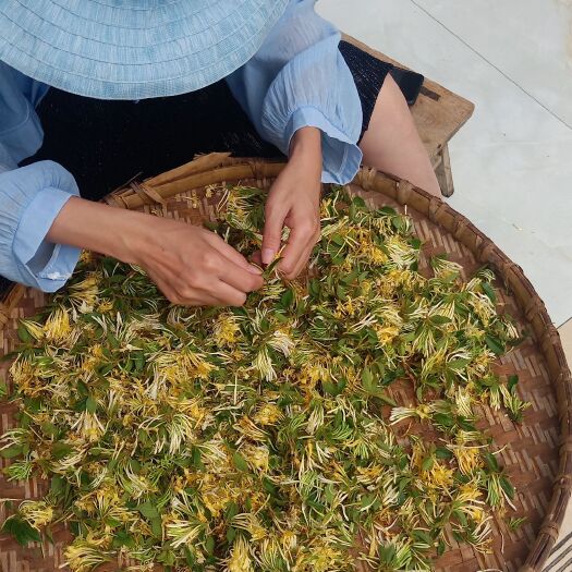 安龙县 贵州高含量山银花，药含量高，无硫，自然晒干，农民一手好货。