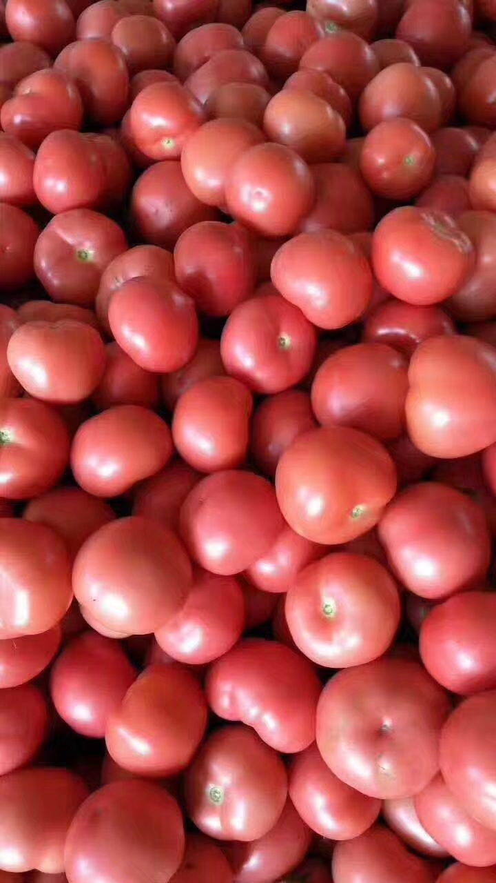 Ӳ  ֱţ