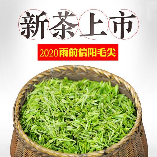 光山县 2020新茶信阳毛尖绿茶叶散装浓香型高山云雾多规