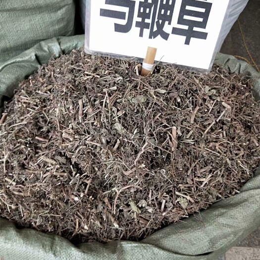 亳州 马鞭草  可打粉专营中药批发