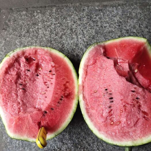 蒲城县甜王西瓜 陕西甜王