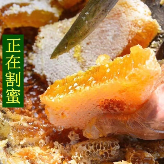 宝鸡土蜂蜜  2022年夏季新产的百花蜜