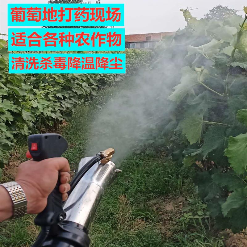 背负式打药机弥雾打药机园林高树打药机射程远大功率打药机