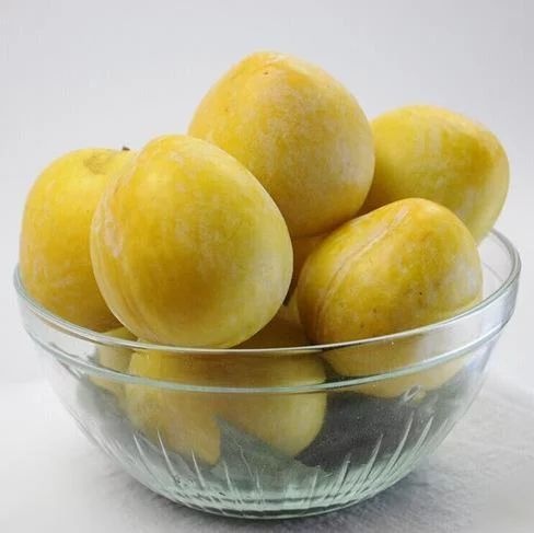 乐昌市 乐昌九峰黄金奈李