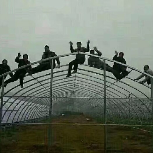 天津养殖大棚骨架