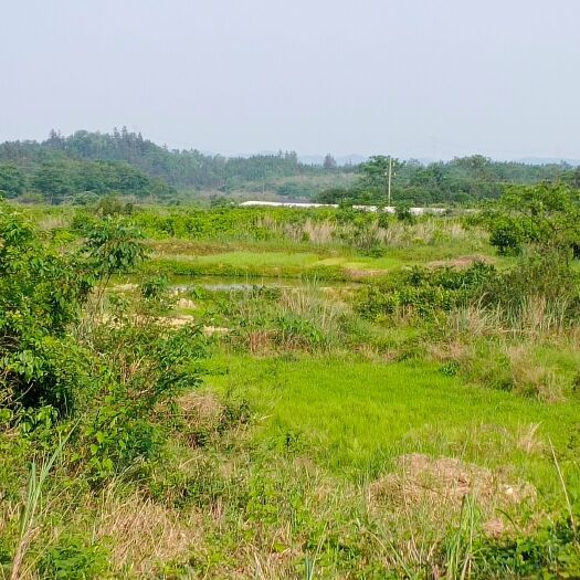 桂林山地  风水阴宅地，富贵的基本。喜欢的可以合作