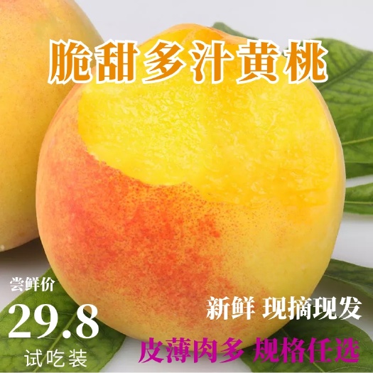 平邑县黄桃山东黄金黄桃孕妇儿童水果零食香甜皮薄多汁老农优选黄桃果