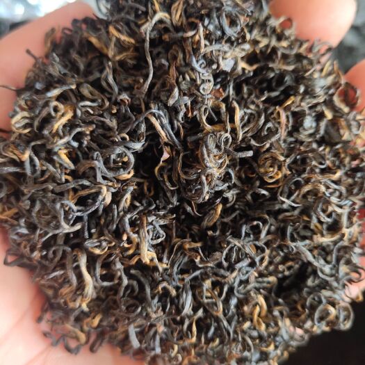 祁门红茶 精品特级祁红香螺