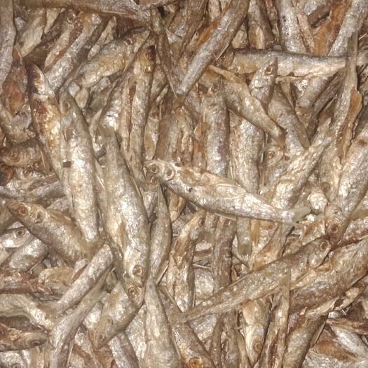 荔浦市鱼籽干 油炸新鲜兰刀鱼仔干