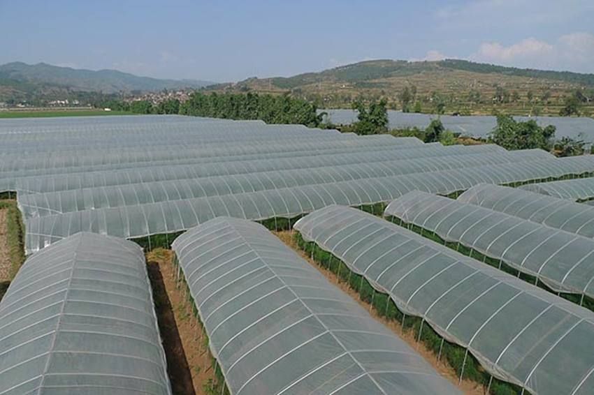  蔬菜大棚 种植大棚 钢管骨架 成套大棚 养殖大棚 配件齐全