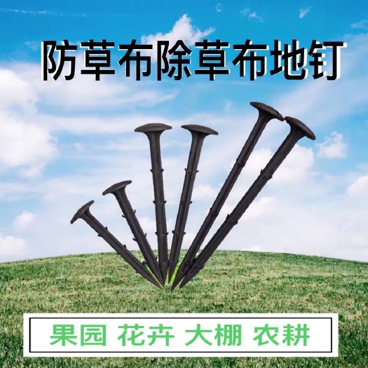 德州PP防草布除草布地钉加大盖帽固定性园艺地布钉