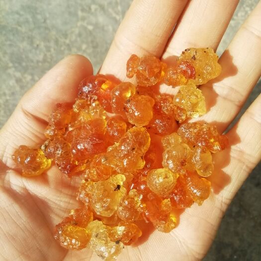 随县食用桃胶  桃树胶