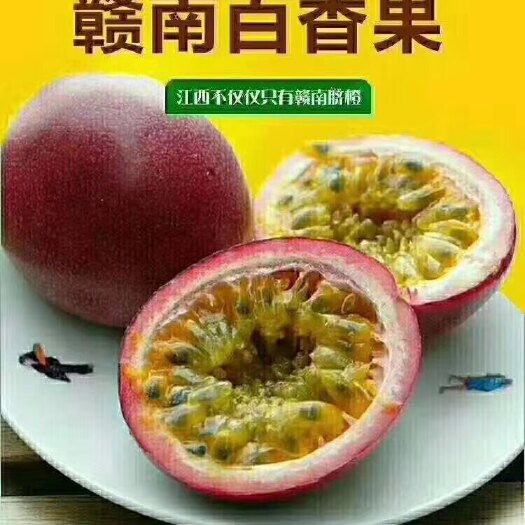 安远县 红色赣南不但种出了好吃的赣南脐橙，现在又种出了品质好的百香果