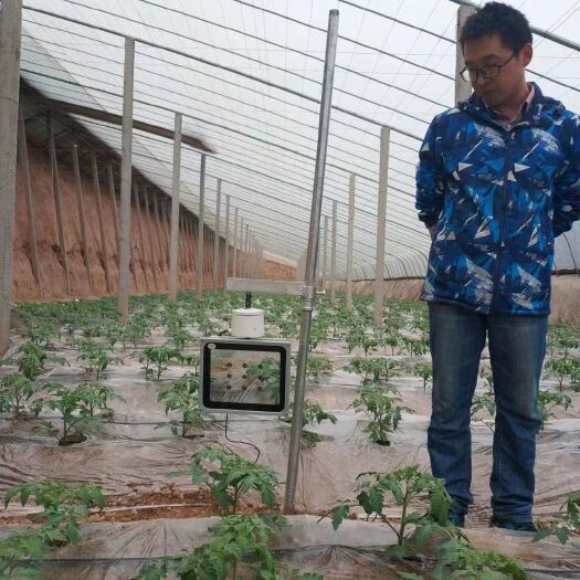 西安植物补光灯 大棚作物补光增长灯，防徒长助上色