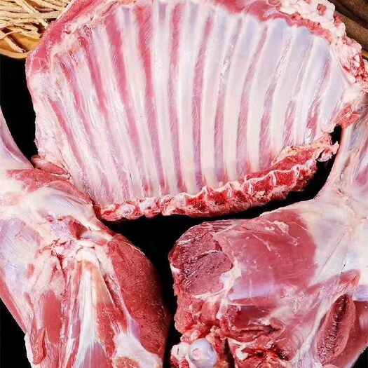 托克托县羊肉类 生肉