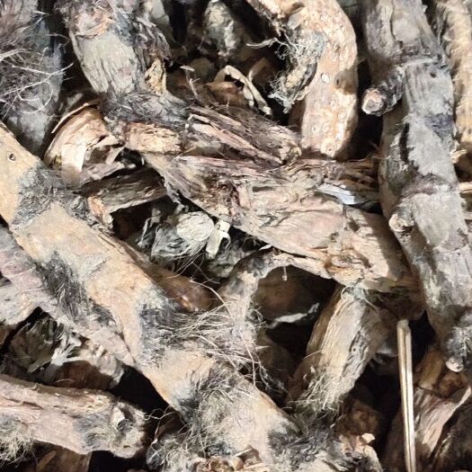 昭平县 药用水菖蒲干货