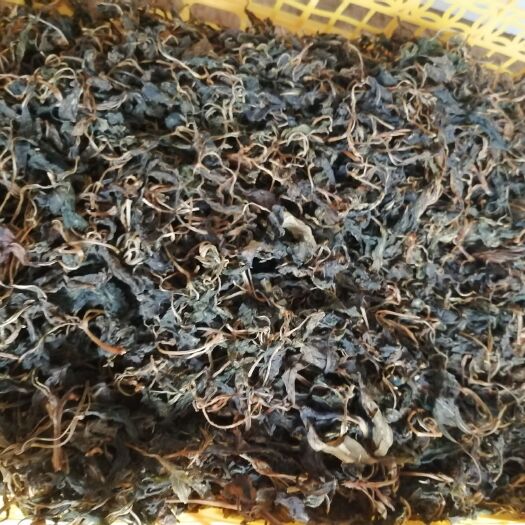 粤北特产，苦斋菜，有机苦斋菜，煲汤靓，煲粥正。