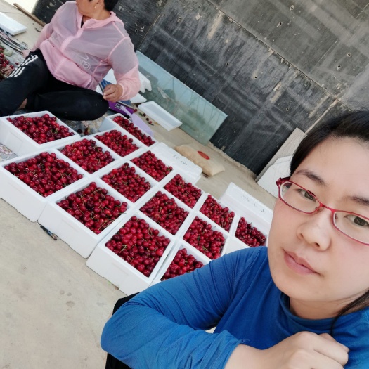 烟台美早樱桃 烟台美早