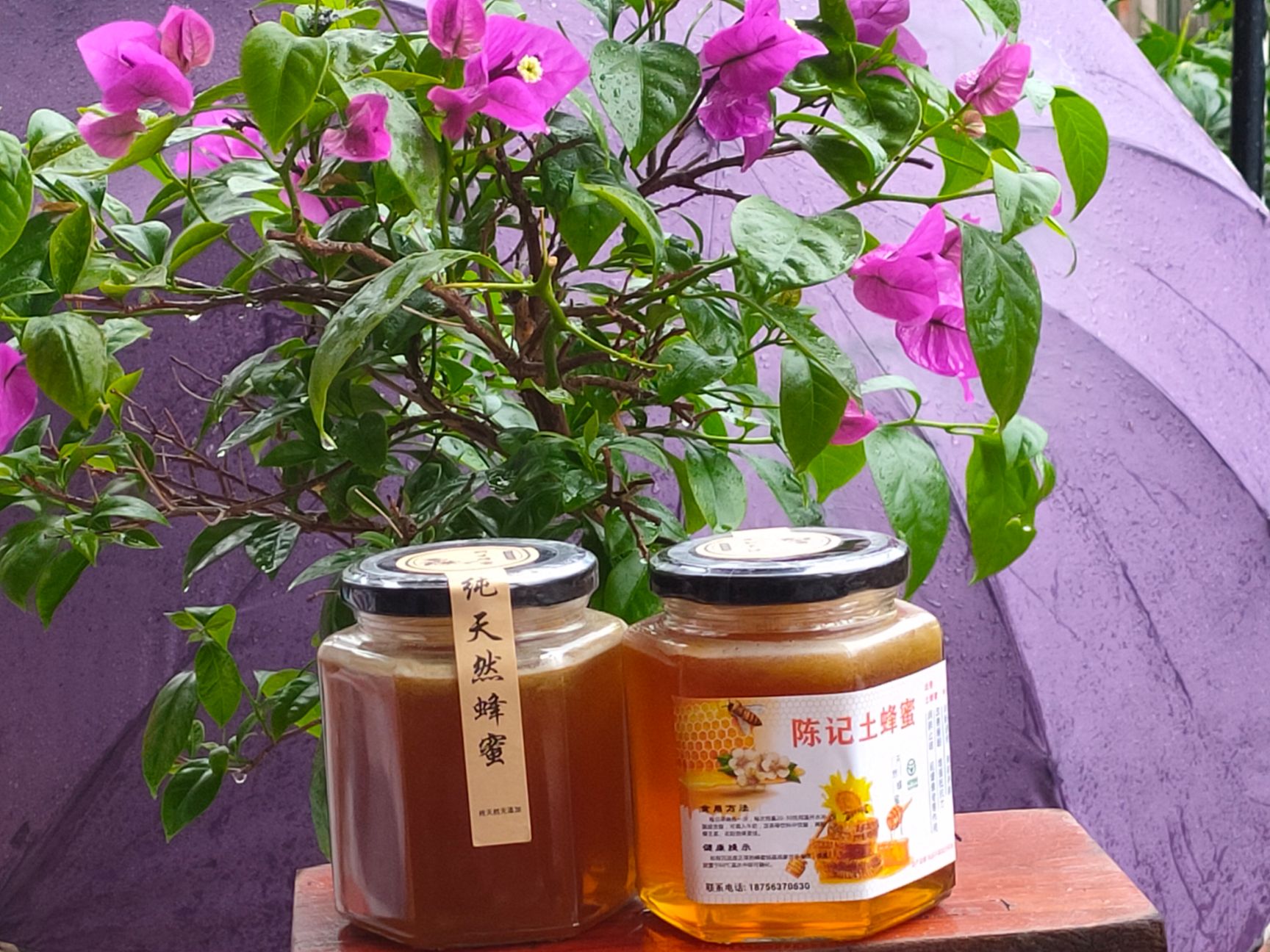  土蜂蜜，宣城，白花蜜