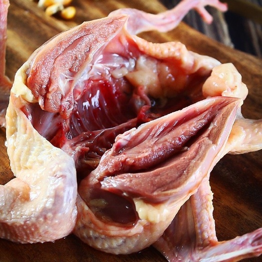 博白县 活体鸽子现杀新鲜白条乳鸽  鸽肉 营养