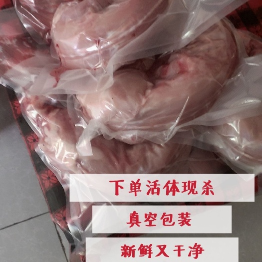 孟州市白玉獭兔 活体现杀去皮冷鲜兔全国包邮