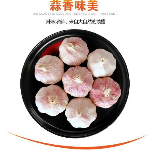 开封 优质紫皮大蒜