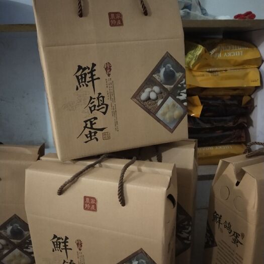 柘城县鸽子蛋  养殖场出货 新鲜 儿童老人宝妈的营养美食
