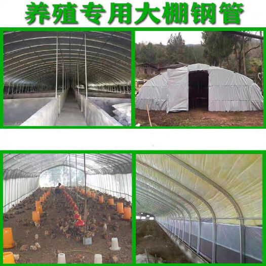 东光县蔬菜大棚 养殖大棚种植大棚