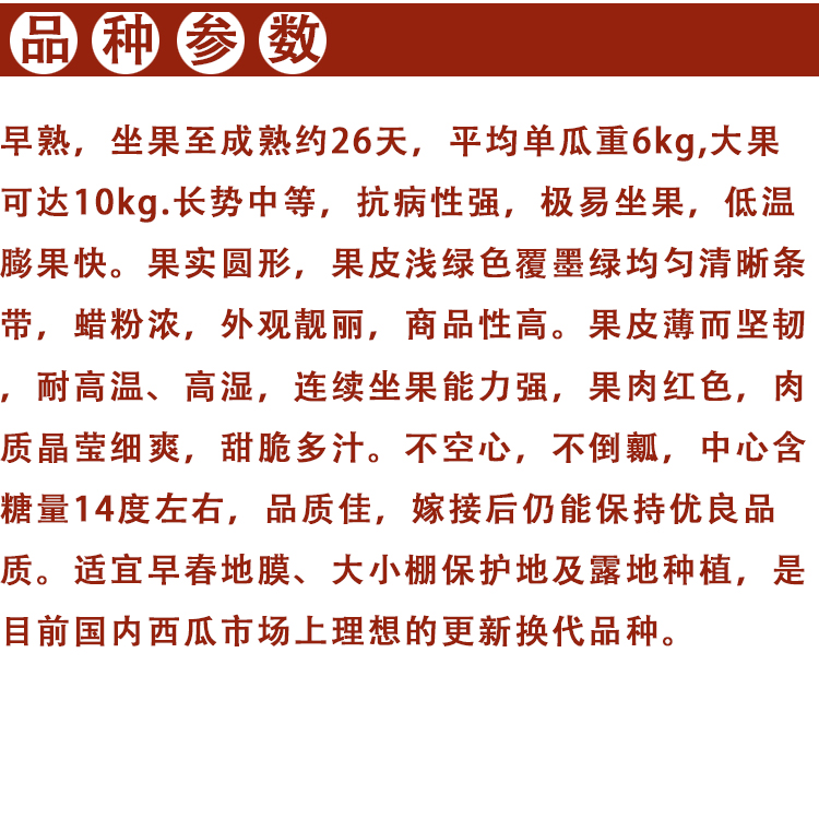 卡其冰糖麒麟王子西瓜种子籽早熟果大皮薄瓜农田园基地种植专用