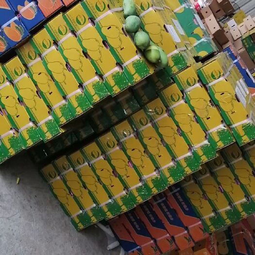 田东县大台农 好果，好品质