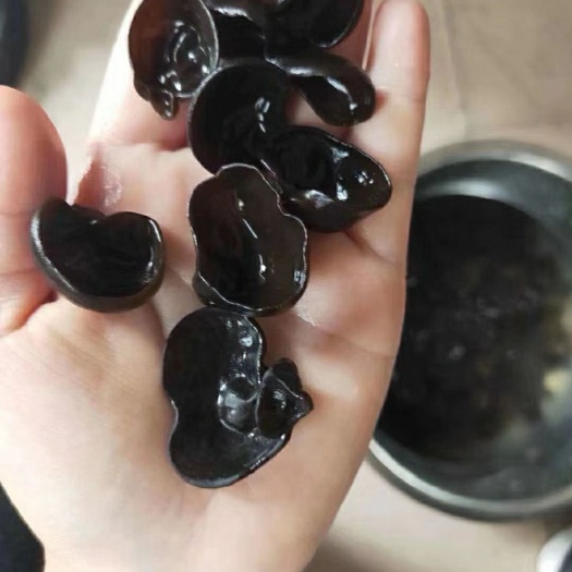 黑木耳，1.0-1.2的，泡好了不用手撕，质量好。