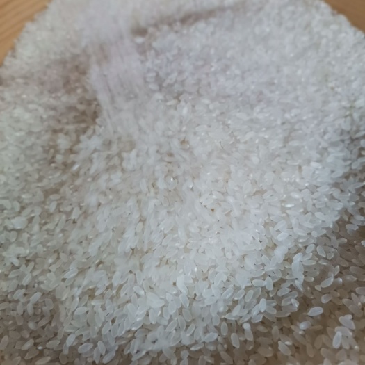 天津 天津宝坻黄庄大米