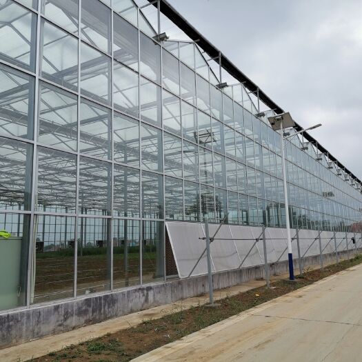 青州市 智能玻璃温室大棚 玻璃蔬菜种植大棚 玻璃大棚骨架厂家