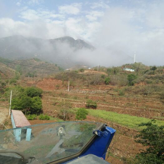 赞皇县 太行山脉纯蜂蜜